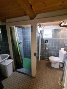 a bathroom with a shower and a toilet and a sink at Wild Valley Rustico Piazza in Intragna, Centovalli in Intragna