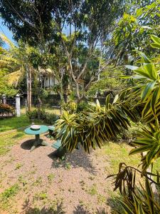 a picnic table in a yard with a tree at Hiru Villa in Bentota