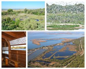 a collage of four pictures of a lake at Hostal Andrés in El Saler