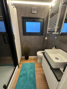 a bathroom with a sink and a toilet and a window at Hausboot Nikolai Stralsund in Stralsund