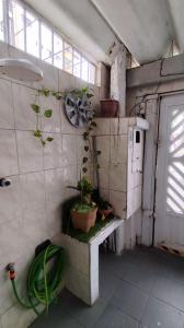 a room with potted plants on the wall at Casa Amarelinha da Tupi in Praia Grande