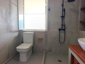 ein Badezimmer mit Toilette, Fenster und Dusche in der Unterkunft Linos Cottage in Pouláta + 20 Fotos