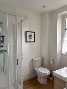 a white bathroom with a toilet and a shower at Villa Theodora in Blois +14 photos