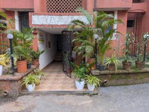 a bunch of potted plants in front of a building at Pavitra Beach Home in Baga