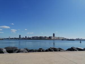 a large body of water with a city in the background at Sea-Me Ostend in Ostend