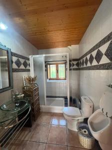 a bathroom with a toilet and a sink and a shower at Casa del arco in Tarilonte +76 photos