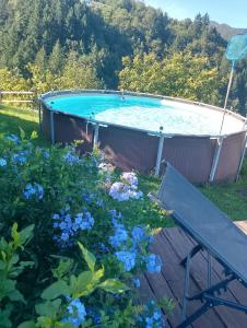 a swimming pool in a garden with blue flowers at Casa Millin in Borzonasca