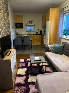 a living room with a couch and a table and a kitchen at Guest house Norrköping in Norrköping