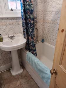 a bathroom with a sink and a shower curtain and a tub at Spacious 4 Bedroom House, Garden, Nr Ipswich Town Centre with hot tub in Ipswich +29 photos