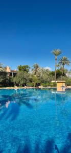 a large swimming pool with blue water and palm trees at Chic Palm Grove Apartment Pool View in Marrakesh