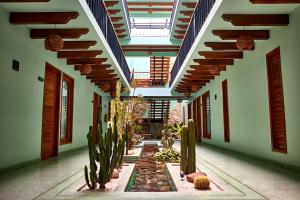 a hallway with cacti and plants in a building at Luuna de Jade in Oaxaca City