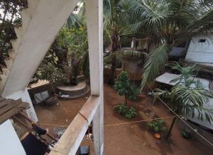 an overhead view of a courtyard with palm trees at House 21 - Mid in Querim