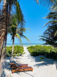a group of benches on a beach with palm trees at Frequency Hostel beachfront in El Cuyo