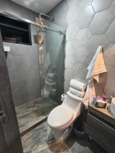 a bathroom with a toilet and a glass shower at Downtown Historic Area Modern and Comfortable in Puebla +16 photos