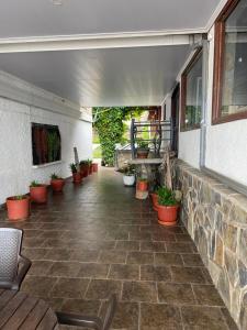 a patio with potted plants and a stone wall at Hosteria Iloca in Iloca