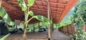 a wooden deck with a wooden roof and a plant at Cabana 1 camping Dona Aurora Praia do Sono in Paraty