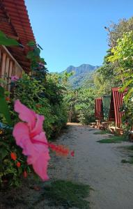 a pink flower on the side of a road at Cabana 1 camping Dona Aurora Praia do Sono in Paraty