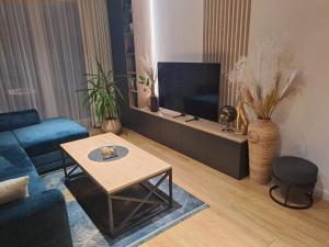 a living room with a blue couch and a tv at Classic&Modern Suite in Kętrzyn +22 photos