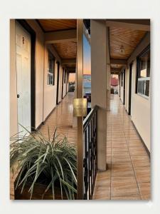 a hallway of a house with a porch with a plant at hotel Rarámuri in Creel