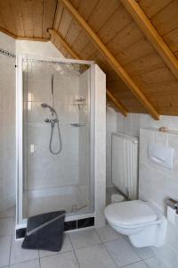 a bathroom with a shower and a toilet at Haus am Südfrüchtegarten in Rhodt unter Rietburg +17 photos