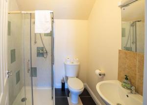 a bathroom with a toilet and a glass shower at The Sheepshead Guesthouse in Durrus