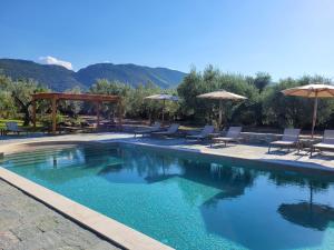 a swimming pool with chairs and umbrellas next to at Beachfront cottage house in olive grove in Arkitsa