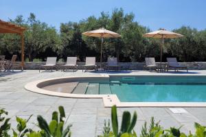 a swimming pool with chairs and umbrellas at Beachfront cottage house in olive grove in Arkitsa +39 photos