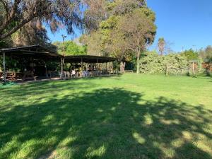 der Schatten eines Baumes auf einem Grasfeld in der Unterkunft Glamping Remanso del Espíritu in Isla de Maipo