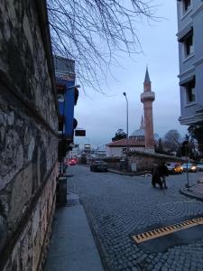 a dog walking down a street with a clock tower at İstanbul Amoria Guest House in Istanbul