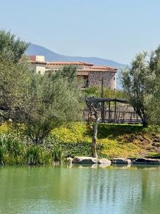 a bridge over a body of water with trees at Hotel Suites Piamonte in Bernal