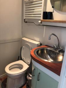 a small bathroom with a toilet and a sink at De Knol in Hoek +8 photos
