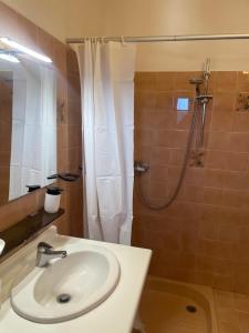 a bathroom with a sink and a shower at L'Écrin de Sauge- jolie Terrasse in Gréoux-les-Bains