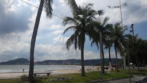 um grupo de palmeiras numa praia com o oceano em Apartamento na Praia do Tortuga no Guarujá