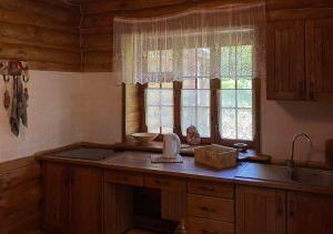a kitchen with a counter with a sink and a window at Lisotel in Rokytne +212 photos