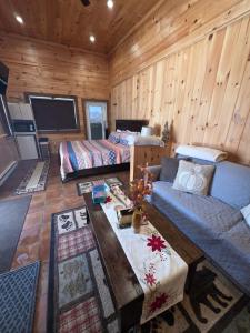 a living room with a couch and a table at Mountain View Cottage in Wilmington