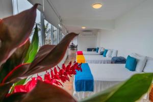 a room with two beds and a plant at Ocean Front Villa - Private Pool and Ocean Access in Puerto Vallarta