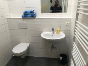 a bathroom with a toilet and a sink and a mirror at Familienurlaub mit Pool, Mittelndorf in Mittelndorf +30 photos