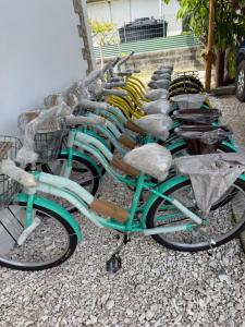 a row of green bikes parked next to a building at Le KAHAIA Rangiroa Tiputa in Rangiroa