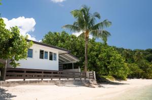 a house on the beach with a palm tree at Matira Lagoon in Bora Bora