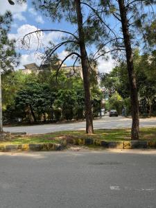 a street with a car driving down a road with trees at Durrani Lodges - Islamabad G11 in Islamabad
