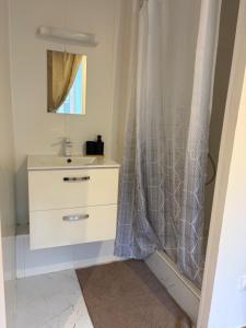 a bathroom with a sink and a shower curtain at Hôtel Le Normandie in Le Mans