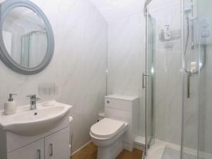 a bathroom with a toilet and a sink and a shower at The Studio in Caernarfon +13 photos