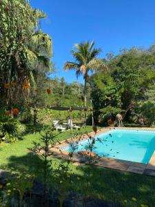 a swimming pool in a garden with a palm tree at Bocaina Sítio da Vovó in Engenheiro Paulo de Frontin