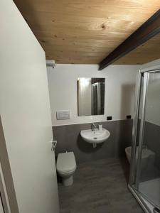 a bathroom with a sink and a toilet and a mirror at Casa Maria - next Milano,Como, Varese in Caronno Pertusella