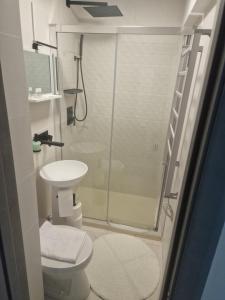 a bathroom with a shower with a toilet and a sink at City Studio in Târgu Secuiesc