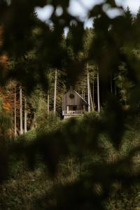 a house in the middle of a forest of trees at Domek Orlické hory in Deštné v Orlických horách