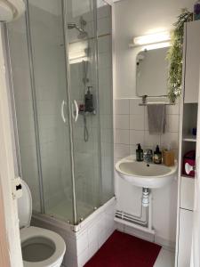 a bathroom with a shower and a toilet and a sink at Petit cocon à 10 min de Paris in Cachan
