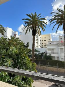 a palm tree in front of some buildings at View green garden ligue arabe in Casablanca