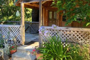 a wooden cabin with potted plants in front of it at Crispin Cottage in Philo