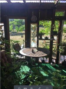 a bird sitting on a table in a house at Crispin Cottage in Philo